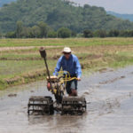 David getting first hand experience in the rice paddys