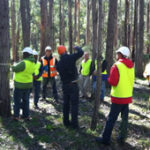 MTG-program-on-site_WR