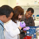 DNA extraction techniques with DAFF molecular biologist Vera Andjic in the Perth Laboratory.