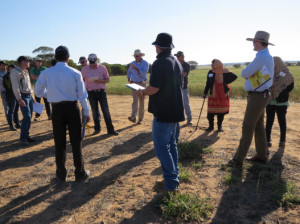 Liebe group field day