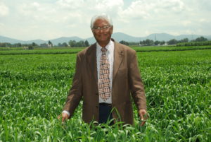 Rajaram field photos 16 July 2014 (56)