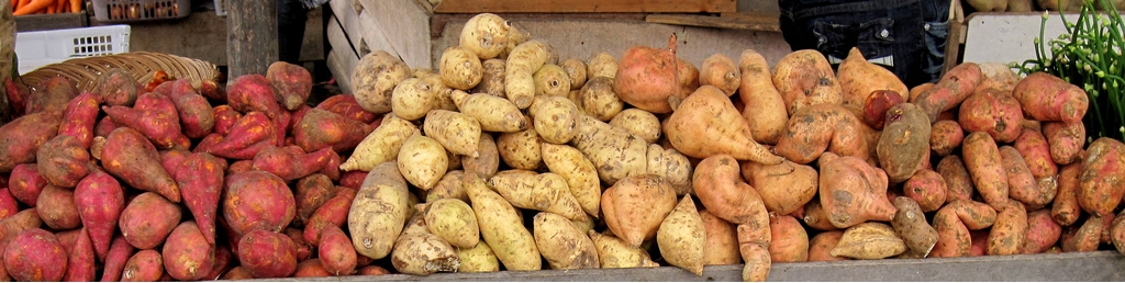 Sweet potato tubers with different skin colors, on sale in Indonesia. CC: Wikipedia.